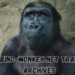 A Traveler’s Guide to the Albino-Monkey.net Travel Archives