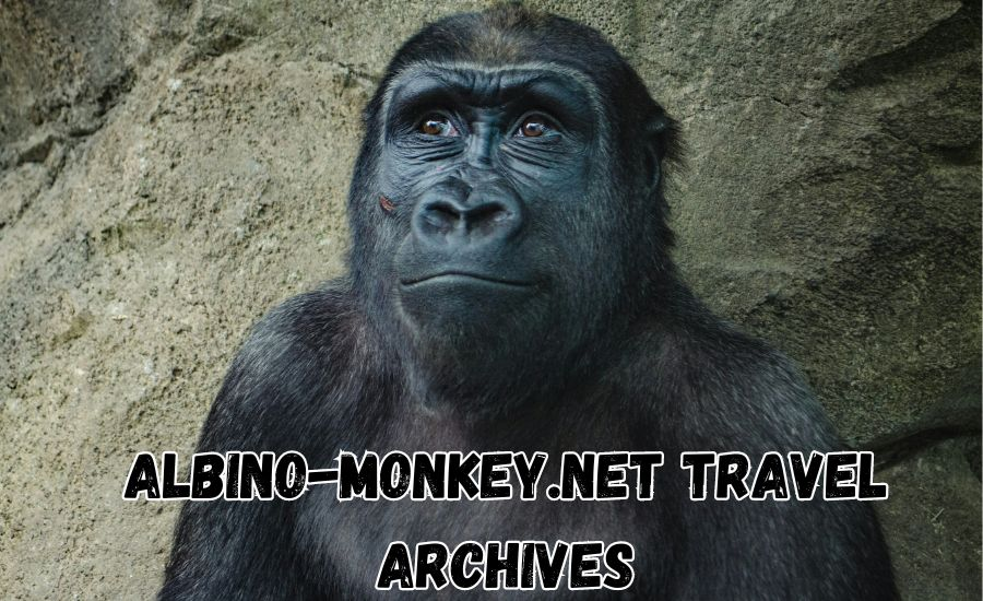 A Traveler’s Guide to the Albino-Monkey.net Travel Archives